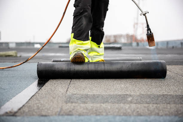 Best Skylight Installation and Repair  in Port Clinton, OH